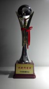 中国保健协会创新研发奖